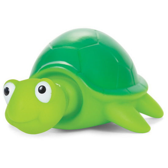 Tortue Pop