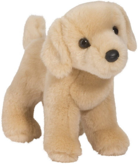 Zach le labrador blond