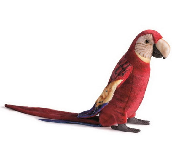 Peluche Ara 73cm
