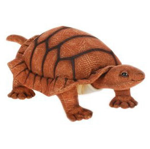 Peluche Tortue adulte 38cm