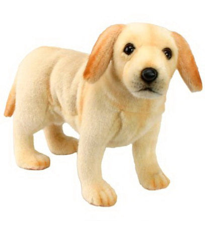 Peluche Bébé Labrador 35cm