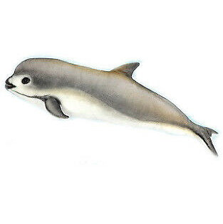 Peluche Marsouin du Pacifique 53cm