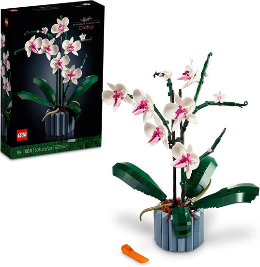 Orchidée(L')