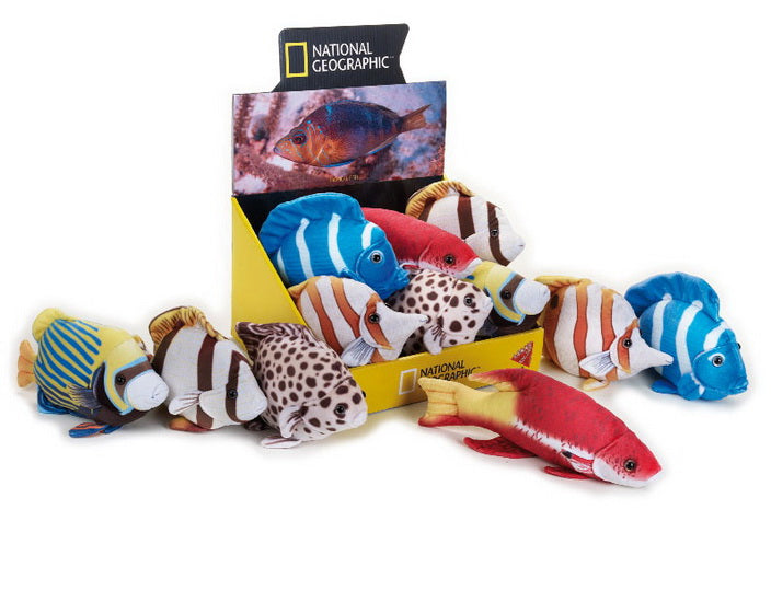 Peluche poisson tropical 6 AS