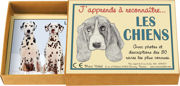J'apprends à reconnaître les chiens