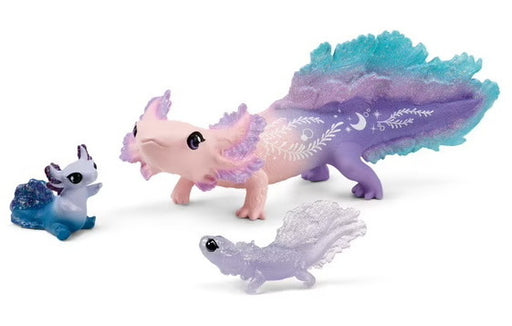 Coffret découverte Axolotl
