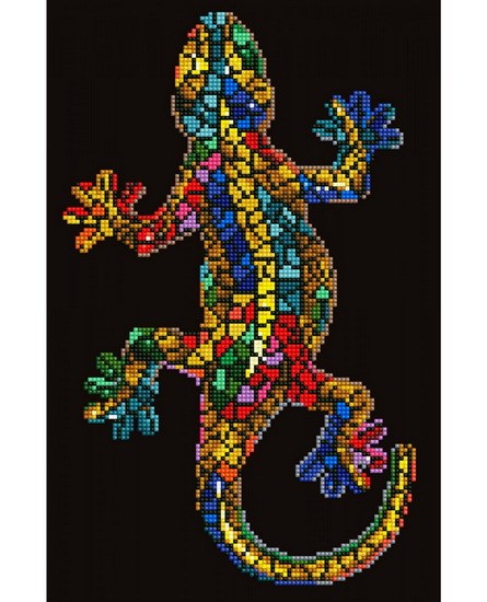 Gecko paua