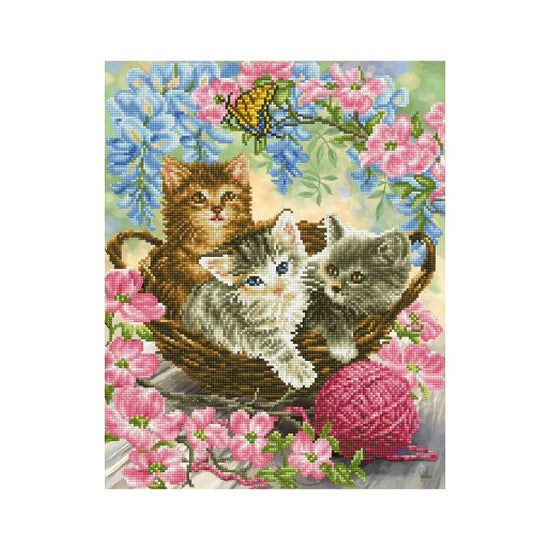 Ens. créatif Diamond Dotz : Chatons