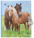 Journal intime à cadenas cheval