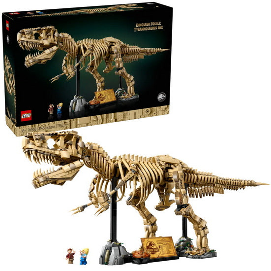 Les fossiles de dinosaures : le Tyrannosaurus Rex